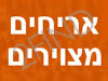 אריחים מצוירים מיכל כץ