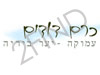 כרם דודים