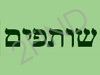 שותפים