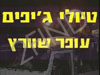 עופר שוורץ