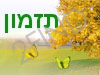 תזמון