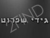 גידי שפרוט