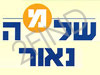 שלמה נאור