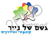 קונפטי
