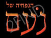 נעם