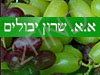 יבולים א. שרון