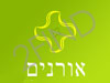 גינון אומנותי אורנים