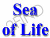 Sea Of Life
