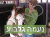 רכיבה טיפולית חוויתית