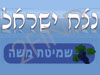 נצח ישראל - שמיטה