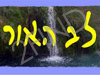 רייקי - לב האור