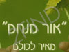 אור מנחם