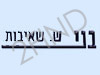 בני ש. שאיבות