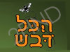 מכוורת