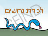 לוכד נחשים