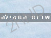 שדות תהילה