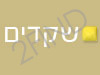 סטודיו שקדים - עיצוב אתרים