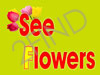 see flowers