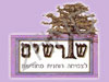 מרכז שורשים תל אביב