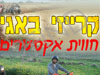 קרייזי באגי