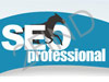 seo-professional