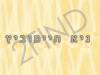 גיא חיימוביץ