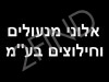 אלוני מנעולים בע