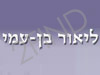 ליאור בן-עמי, עורך דין