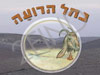 נחל הרועה - גבינות עזים ואירוח כפרי