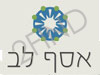 אסף לב