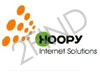 Hoopy Internet Solutions