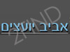 אביב יועצים