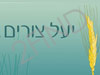 יעל צורים - תזונאית קלינית