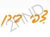 צפי בירן - פסלת