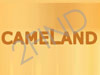 CameLand - חוות הגמלים בנגב 
