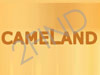 CameLand - חוות הגמלים בנגב