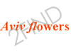 Aviv flowers