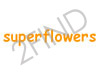 Superflowers.co.il