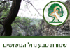 שמורת טבע נחל המשושים