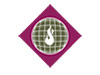Online Shluchim Center