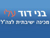 בני דוד עלי