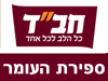 צעירי חב