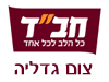 צעירי חב