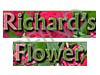 הפרחים של ריצ'רד