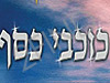 כוכבי כסף