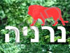 נרניה