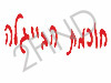 חוכמת הבייגלה