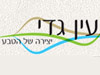 חמי עין גדי