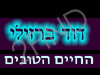 דודי ברזילי - אומן המגע