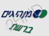 מנהיגים ברשת